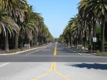 Palm Drive in Palo Alto, CA