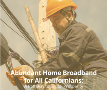 Abundant Home Broadband