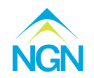 logo-north-georgia-network.PNG